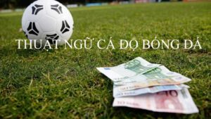 thuật ngữ, tiếng lóng trong bộ môn cá cược bóng đá trực tuyến