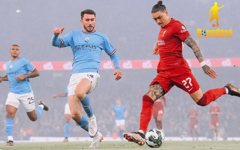 Giới thiệu về bongdaso 12