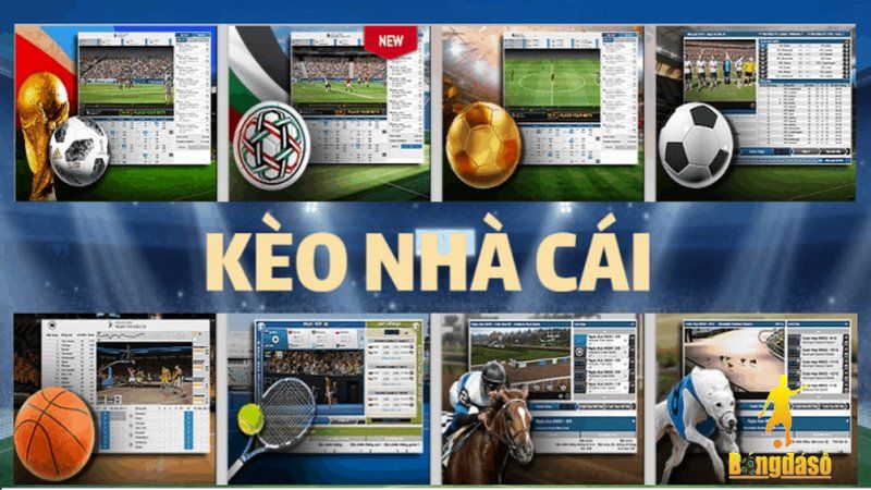 Địa chỉ mang đến những kèo cá cược hàng đầu thị trường